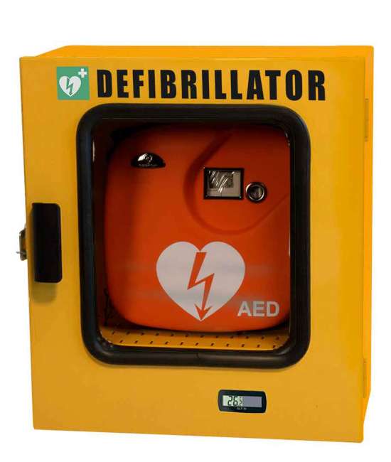 Teca da esterno per defibrillatore